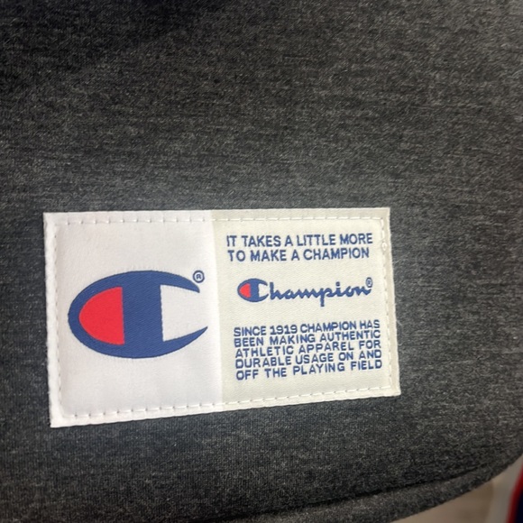 Champion Multi Purpose Belt Bag- Gray - Picture 8 of 9